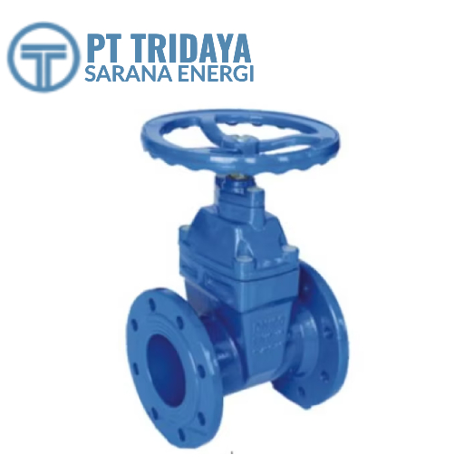Gate Valve